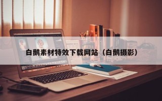 宁津白鹅素材特效下载网站（白鹅摄影）